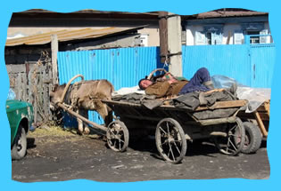 Kazakh man asleep